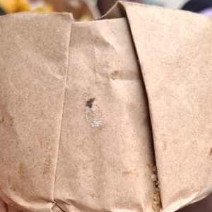 Natural Black Soap from Africa